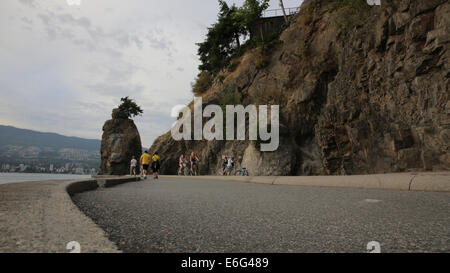 Stanley Park in Vancouver ist eine große städtische Parkanlagen und ein großartiger Ort für Inline-Skating, Radfahren, Joggen oder entspannen. Stockfoto