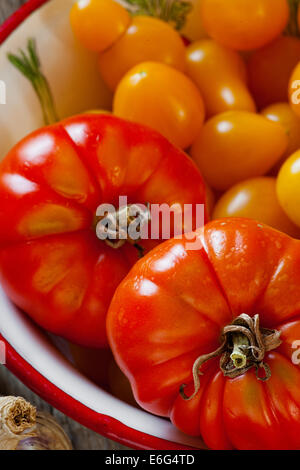 Frisch gepflückten Tomaten in eine Schüssel Emaille Stockfoto