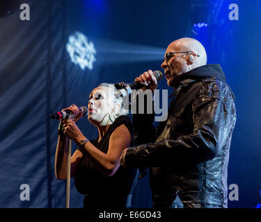 Helmsley, Yorkshire, Großbritannien. 24. August 2014. Als Headliner Sonntag bei Galtres Parklands Festival 2014 Helmsley, North Yorkshire. Bildnachweis: Daniel Easton/Alamy Live-Nachrichten Stockfoto