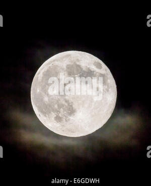 Super-Mond, Vollmond über Rocky Mountains, Salida, Colorado, USA Stockfoto