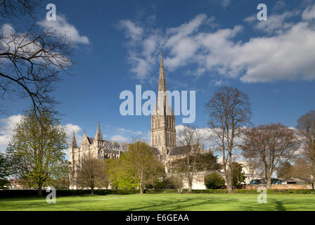 Kathedrale von Salisbury in Wiltshire, England, fotografiert aus dem Südwesten Ende April. Stockfoto