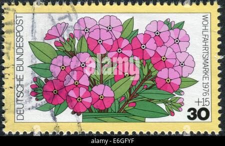 Deutschland - ca. 1976: Briefmarke gedruckt in Deutschland, zeigt eine Blüte Phlox Paniculata, ca. 1976 Stockfoto