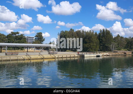 Sydney olympic Park Fähranlegestelle im Westen von Sydney, New South Wales, Australien Stockfoto