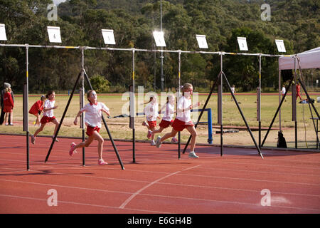 australische Grundschule Sport- und Leichtathletik-Tag in Narrabeen, Sydney, Australien Stockfoto