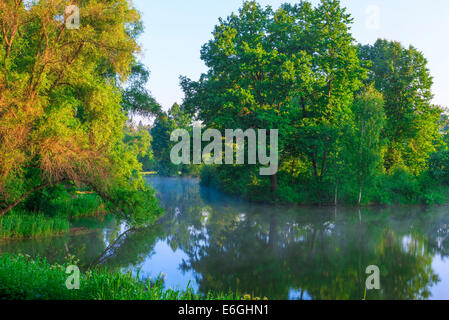 Nebel am Waldsee in den frühen Morgenstunden Stockfoto