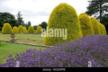 Shugborough Hall, Shugborough Estate, Great Haywood, Staffordshire England National Trust Stockfoto