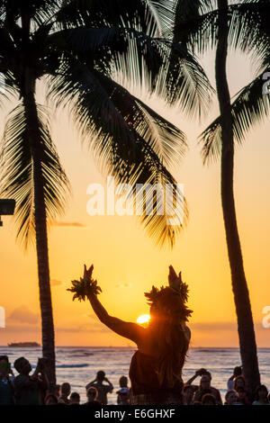 Hawaii, Hawaiian, Honolulu, Waikiki Beach, Kuhio Beach Park, Hyatt Regency Hula Show, kostenloses Publikum, Pazifischer Ozean, weibliche Frauen, Tänzerin, Palmen, Sonne Stockfoto