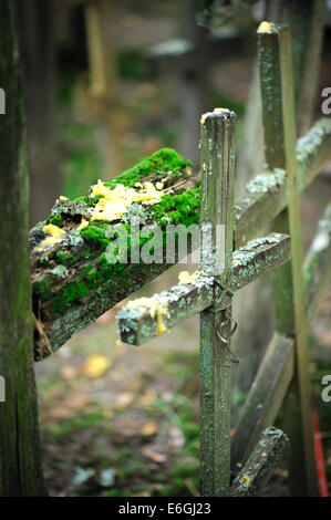 Holzkreuze auf dem Berg Grabarka, Wallfahrtsort für orthodoxe Christen, Polen 18.08.2014 Stockfoto