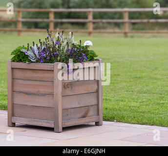 Einem hölzernen Pflanzer mit Blumen auf der Terrasse Stockfoto