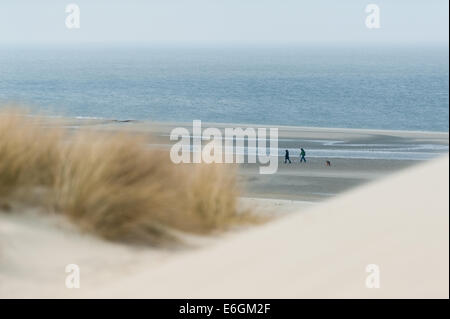 Ein paar ihren Hund am Strand spazieren gehen. Oosterschelde, Niederlande. Stockfoto