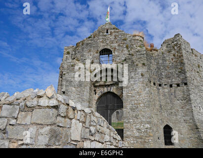 Überzeugender Burg, Mumbles, Wales Stockfoto