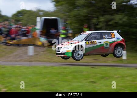 Baumholder, Deutschland. 23. August 2014. Armin Kremer und Beifahrer Klaus Wicha (beide Deutschland) in ihren Hyundai springen den Hügel "Gina" in der Wertungsprüfung der ADAC Rallye Deutschland Teil der WRC-Rallye-Weltmeisterschaft auf dem Truppenübungsplatz in Baumholder, Deutschland, 23. August 2014. Foto: THOMAS FREY/Dpa/Alamy Live News Stockfoto