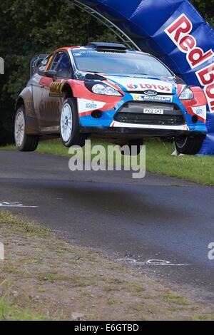 Baumholder, Deutschland. 23. August 2014. Robert Kubica und Beifahrer Maciej Szczepaniak (beide Slowakei) springen die Hügel "Gina" in der Wertungsprüfung der ADAC Rallye Deutschland Teil der WRC-Rallye-Weltmeisterschaft auf dem Truppenübungsplatz in Baumholder, Deutschland, 23. August 2014. Foto: THOMAS FREY/Dpa/Alamy Live News Stockfoto