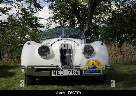 Jaguar XK 120 SE/C Roadster (1954) in Oldtimer-Rallye in Schweden Stockfoto