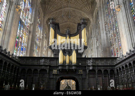 Kings College Kapelle innen Cambridge England, zeigt die Kapelle Orgel Stockfoto