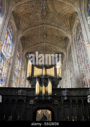 Kings College Kapelle innen Cambridge England, zeigt die Kapelle Orgel Stockfoto