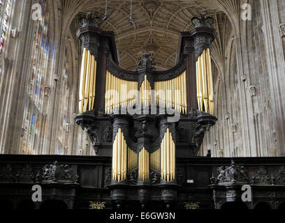 Kings College Kapelle innen Cambridge England, zeigt die Kapelle Orgel Stockfoto