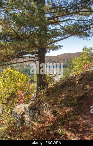 Ein Bild von einem Wald Natur Herbst in Kanada. Bunte Blätter und Aussicht auf einen Berg. Stockfoto