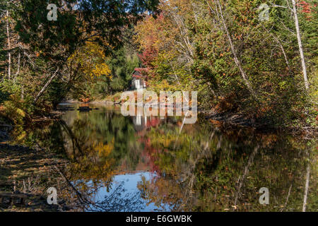Im freien Natur Herbst Saison in Kanada. Ziel nicht USA reisen. Stockfoto