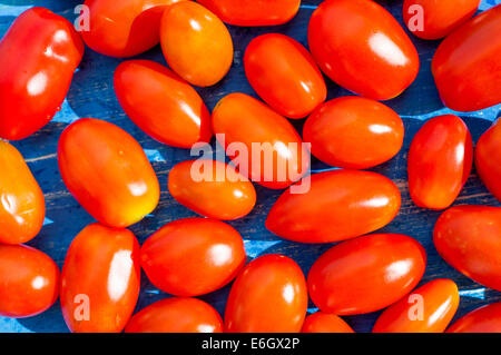 Viele rote Pflaume Tomaten auf alten blauen Brett Stockfoto