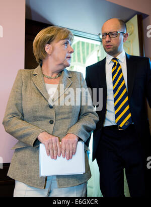 Kiew, Ukraine. 23. August 2014. Bundeskanzlerin Angela Merkel und Präsident der Ukraine Arseniy Yatsenyuk treffen zu Gesprächen in Kiew, Ukraine, 23. August 2014. Bundeskanzlerin Angela Merkel reiste in der ukrainischen Hauptstadt Kiew zu Gesprächen über die eskalierenden Konflikt mit Russland über die pro-russischen Separatisten Rebellion. Foto: BERND VON JUTRCZENKA/Dpa/Alamy Live-Nachrichten Stockfoto