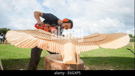 Knutsford, Cheshire, UK. 23. August 2014. Carver, Danny Thomas von Wales in der 10. englische Chainsaw Carving Auswahlverfahren an der Cheshire Showground, Knutsford konkurrieren. Bestandteil der Cheshire Spiel und Country Fair, die über Bank Holiday Montag weiter.  Bildnachweis: Howard Barlow / Alamy Live News Stockfoto