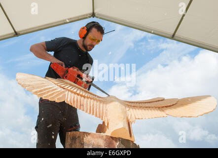 Knutsford, Cheshire, UK. 23. August 2014. Carver, Danny Thomas von Wales in der 10. englische Chainsaw Carving Auswahlverfahren an der Cheshire Showground, Knutsford konkurrieren. Bestandteil der Cheshire Spiel und Country Fair, die über Bank Holiday Montag weiter.  Bildnachweis: Howard Barlow / Alamy Live News Stockfoto