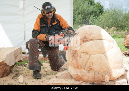 Knutsford, Cheshire, UK. 23. August 2014. Carver, Tim Klock aus Amerika in die 10. englische Chainsaw Carving Auswahlverfahren an der Cheshire Showground, Knutsford konkurrieren. (Schaffung einer Schildkröte) Bestandteil der Cheshire Spiel und Country Fair, die über Bank Holiday Montag weiter.  Bildnachweis: Howard Barlow / Alamy Live News Stockfoto