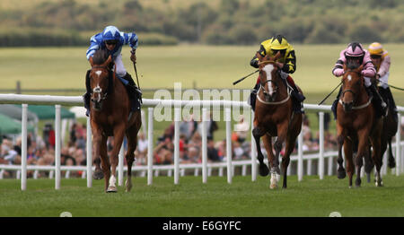 Newmarket, Großbritannien. 23. August 2014. Abschluss des Kurstages Juli 2. Nautilus unter Nicky Mackay gewinnen die fliegen EasyJet ab London Southend Airport Handicap Credit: Action Plus Sport/Alamy Live News Stockfoto