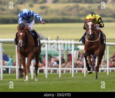 Newmarket, Großbritannien. 23. August 2014. Abschluss des Kurstages Juli 2. Nautilus unter Nicky Mackay gewinnen die fliegen EasyJet ab London Southend Airport Handicap Credit: Action Plus Sport/Alamy Live News Stockfoto