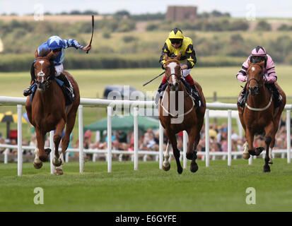 Newmarket, Großbritannien. 23. August 2014. Abschluss des Kurstages Juli 2. Nautilus unter Nicky Mackay gewinnen die fliegen EasyJet ab London Southend Airport Handicap Credit: Action Plus Sport/Alamy Live News Stockfoto