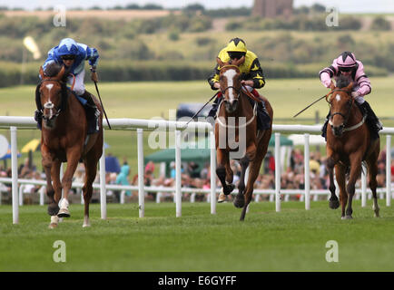 Newmarket, Großbritannien. 23. August 2014. Abschluss des Kurstages Juli 2. Nautilus unter Nicky Mackay gewinnen die fliegen EasyJet ab London Southend Airport Handicap Credit: Action Plus Sport/Alamy Live News Stockfoto