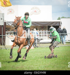 Knutsford, Cheshire, UK. 23. August 2014. Rennpferd Herrn Atterbury, der Dritter in der 2004 Grand National im Wettbewerb bei den Horseboarding Meisterschaften an der Cheshire Showground, Knutsford gehalten war. Bestandteil der Cheshire Spiel und Country Fair, die über Bank Holiday Montag weiter.  Bildnachweis: Howard Barlow / Alamy Live News Stockfoto