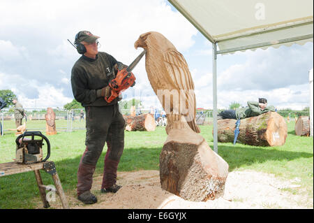 Knutsford, Cheshire, UK. 23. August 2014. Carver, Tim Burgess von England in die 10. englische Chainsaw Carving Auswahlverfahren an der Cheshire Showground, Knutsford konkurrieren. Bestandteil der Cheshire Spiel und Country Fair, die über Bank Holiday Montag weiter.  Bildnachweis: Howard Barlow / Alamy Live News Stockfoto