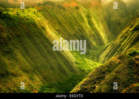 Maunalei Tal mit gefleckten Licht. Lanai, Hawaii. Stockfoto