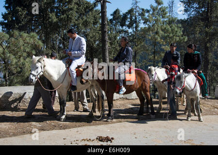 Eine Gruppe indischer Touristen, die auf Ponys in der Nähe der winzigen Bergstation von Kufri in Himachal Pradesh in Indien fahren Stockfoto