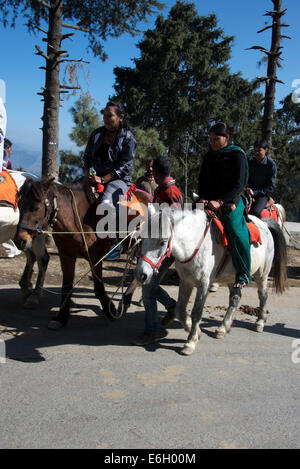 Eine Gruppe indischer Touristen, die auf Ponys in der Nähe der winzigen Bergstation von Kufri in Himachal Pradesh in Indien fahren Stockfoto