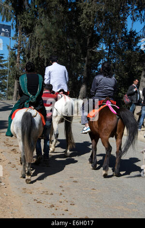 Eine Gruppe indischer Touristen, die auf Ponys in der Nähe der winzigen Bergstation von Kufri in den Ausläufern des Himalaya in Himachal Pradesh in Indien reiten. Stockfoto