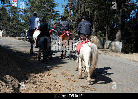 Eine Gruppe indischer Touristen, die auf Ponys in der Nähe der winzigen Bergstation von Kufri in Himachal Pradesh in Indien fahren Stockfoto