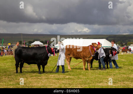 Wensleydale Landwirtschaftsausstellung. 22. August 2014. Leyburn. North Yorkshire. Massen der Agricultural Show in wechselhaften Wetter zu genießen. Bildnachweis: Keith J Smith. / Alamy Live News Stockfoto