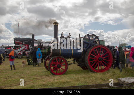 Wensleydale Landwirtschaftsausstellung. 22. August 2014. Leyburn. North Yorkshire. Massen der Agricultural Show in wechselhaften Wetter zu genießen. Bildnachweis: Keith J Smith. / Alamy Live News Stockfoto