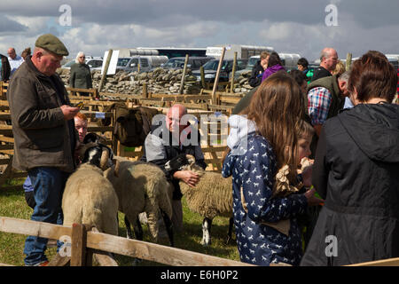 Wensleydale Landwirtschaftsausstellung. 22. August 2014. Leyburn. North Yorkshire. Massen der Agricultural Show in wechselhaften Wetter zu genießen. Bildnachweis: Keith J Smith. / Alamy Live News Stockfoto