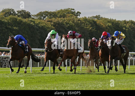 Newmarket, Großbritannien. 23. August 2014. Abschluss des Kurstages Juli 2. Tropen unter Robert Winston gewann die Stobart Mitglieder Club hoffnungsvoll Stakes Credit: Action Plus Sport/Alamy Live News Stockfoto