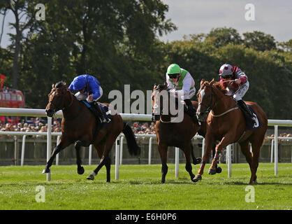 Newmarket, Großbritannien. 23. August 2014. Abschluss des Kurstages Juli 2. Tropen unter Robert Winston gewann die Stobart Mitglieder Club hoffnungsvoll Stakes Credit: Action Plus Sport/Alamy Live News Stockfoto