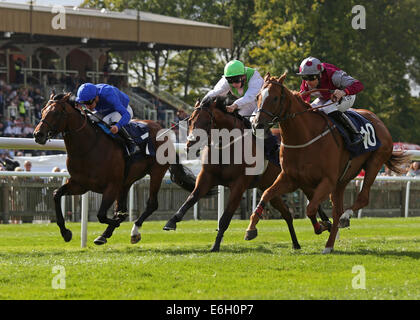 Newmarket, Großbritannien. 23. August 2014. Abschluss des Kurstages Juli 2. Tropen unter Robert Winston gewann die Stobart Mitglieder Club hoffnungsvoll Stakes Credit: Action Plus Sport/Alamy Live News Stockfoto