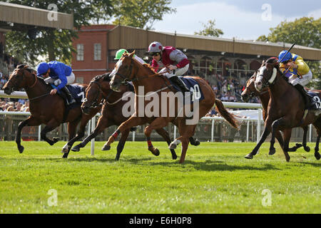 Newmarket, Großbritannien. 23. August 2014. Abschluss des Kurstages Juli 2. Tropen unter Robert Winston gewann die Stobart Mitglieder Club hoffnungsvoll Stakes Credit: Action Plus Sport/Alamy Live News Stockfoto