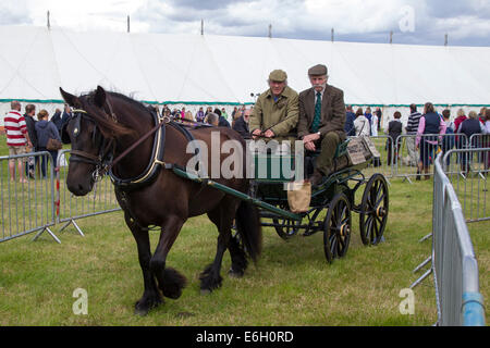 Wensleydale Landwirtschaftsausstellung. 22. August 2014. Leyburn. North Yorkshire. Massen der Agricultural Show in wechselhaften Wetter zu genießen. Bildnachweis: Keith J Smith. / Alamy Live News Stockfoto