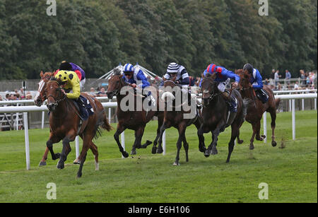 Newmarket, Großbritannien. 23. August 2014. Abschluss des Kurstages Juli 2. Elhaame unter Martin Lane gewinnen The Fly Skywork Airlines London Southend Airport Handicap Credit: Action Plus Sport/Alamy Live News Stockfoto