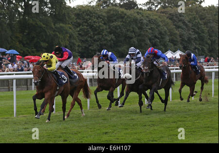 Newmarket, Großbritannien. 23. August 2014. Abschluss des Kurstages Juli 2. Elhaame unter Martin Lane gewinnen The Fly Skywork Airlines London Southend Airport Handicap Credit: Action Plus Sport/Alamy Live News Stockfoto