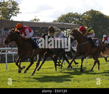 Newmarket, Großbritannien. 23. August 2014. Schließen der Julitag Kurs 2. Holley Shiftwell unter Graham Gibbons gewinnen The Fly London Southend Airport, Barcelona Handicap Credit: Action Plus Sport/Alamy Live News Stockfoto